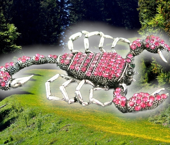 Silver plated pink and white crystal Scorpion brooch - Picture 15 of 16